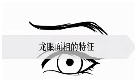 龍眼面相男|最标准的龙眼面相 龙眼面相的解读